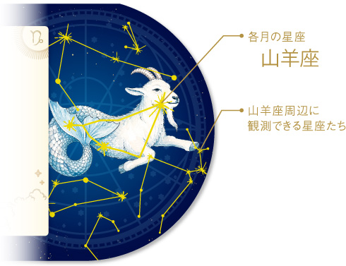 各月の星座 山羊座 山羊座周辺に観測できる星座たち